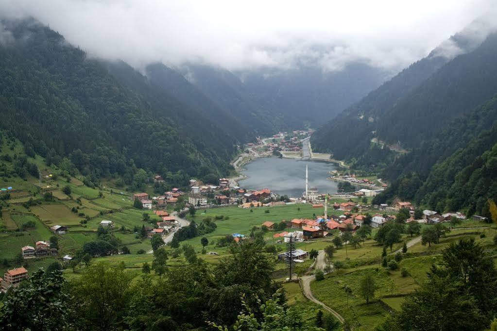 Kusva Apart Uzungol Bagian luar foto